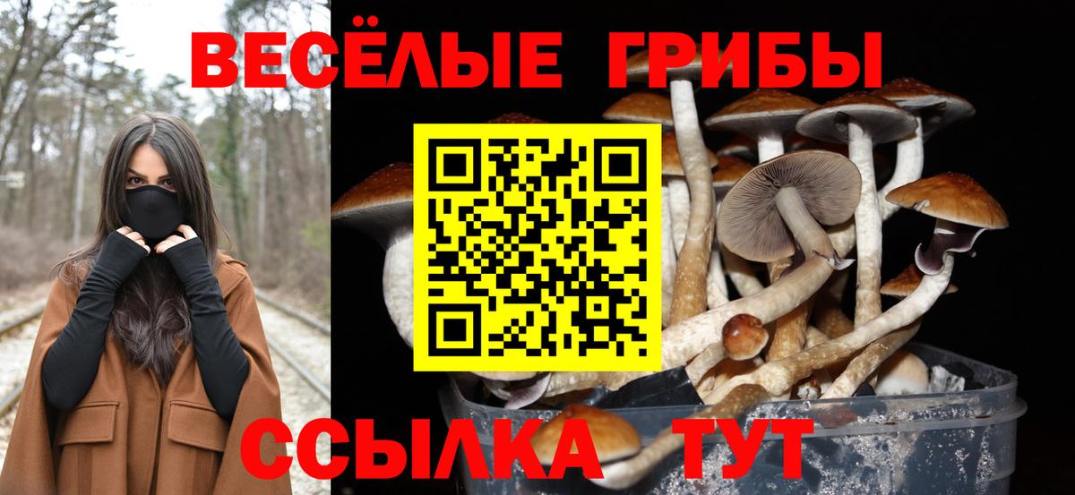 Псилоцибиновые грибы мухоморы  Вход с VPN  Галлюциногенные грибы Psilocybine cubensis  Жигулёвск 