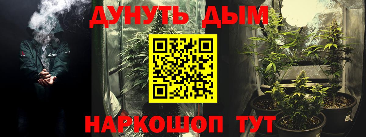 Канабис гибрид Жигулёвск